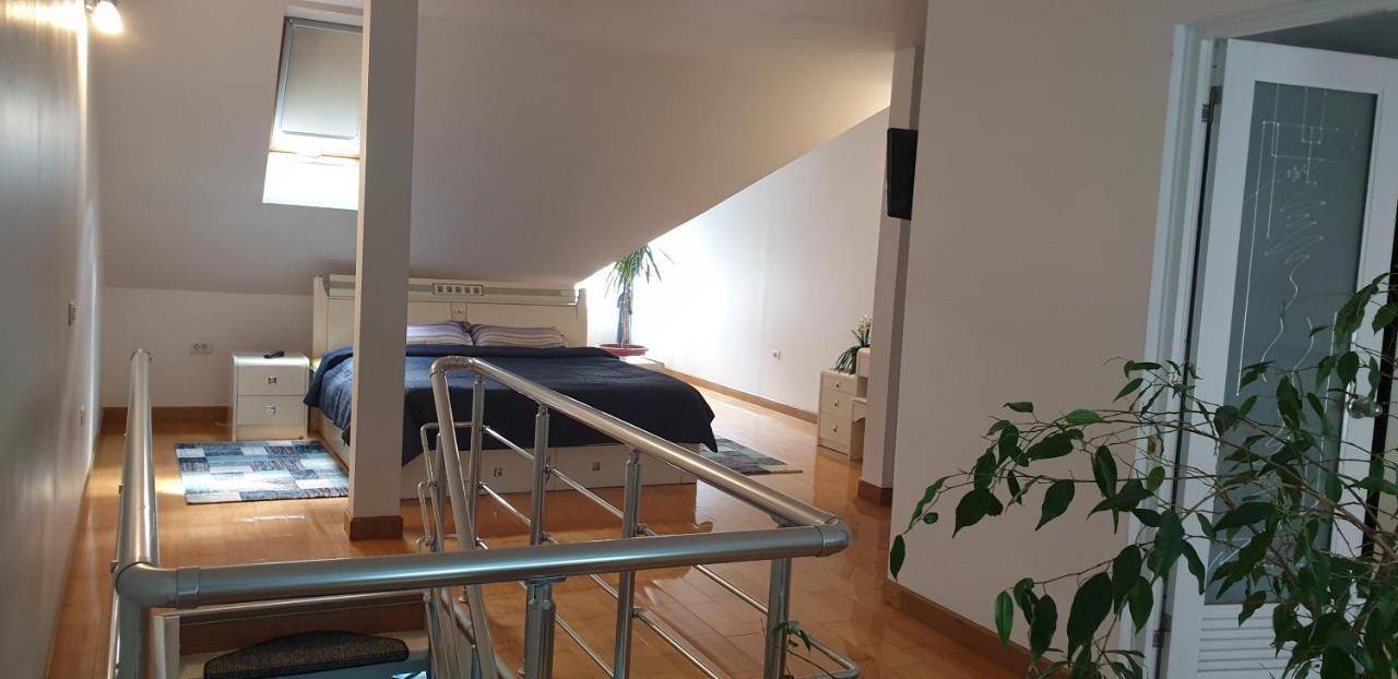 Vila Roxy Poiana Brasov Εξωτερικό φωτογραφία