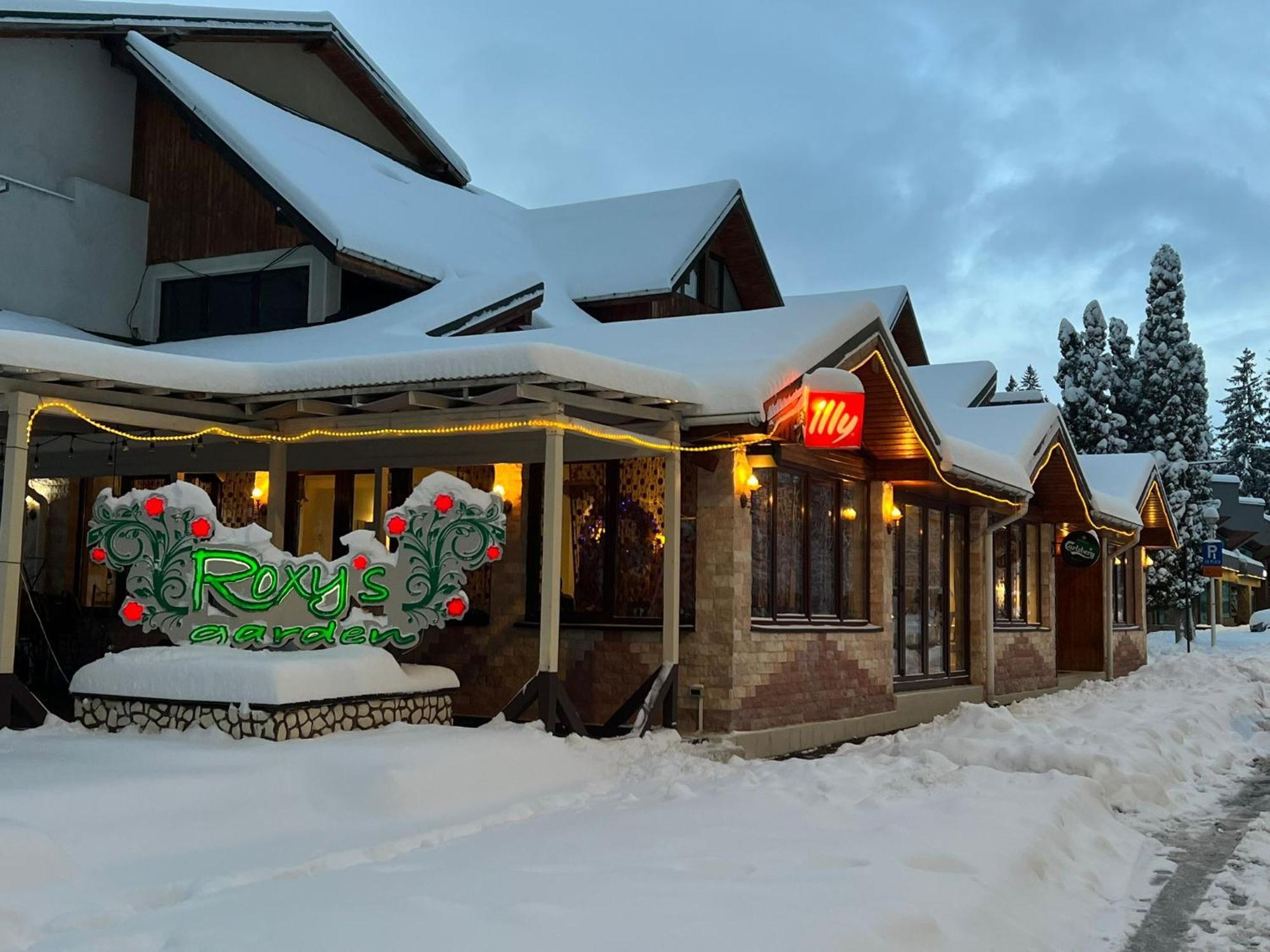 Vila Roxy Poiana Brasov Εξωτερικό φωτογραφία